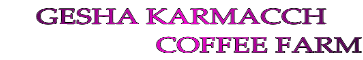 GESHA KARMACCH COFFEE FARM