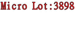 Micro Lot:3898  