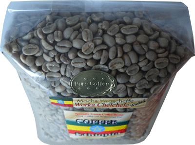 Ethiopia_WorkaCHECHEWS25DBG.gif
