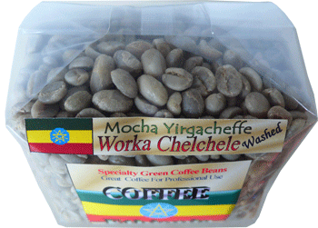 Ethiopia_WorkaCHECHEWS25DSM.gif